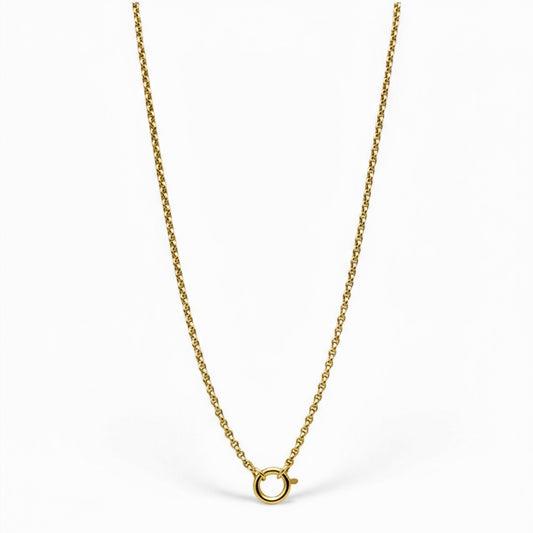 Gold chain necklace on a white background
