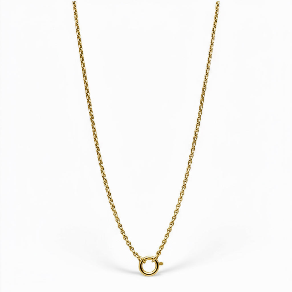 Gold chain necklace on a white background
